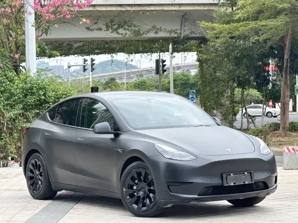 Tesla Model Y — фото 3
