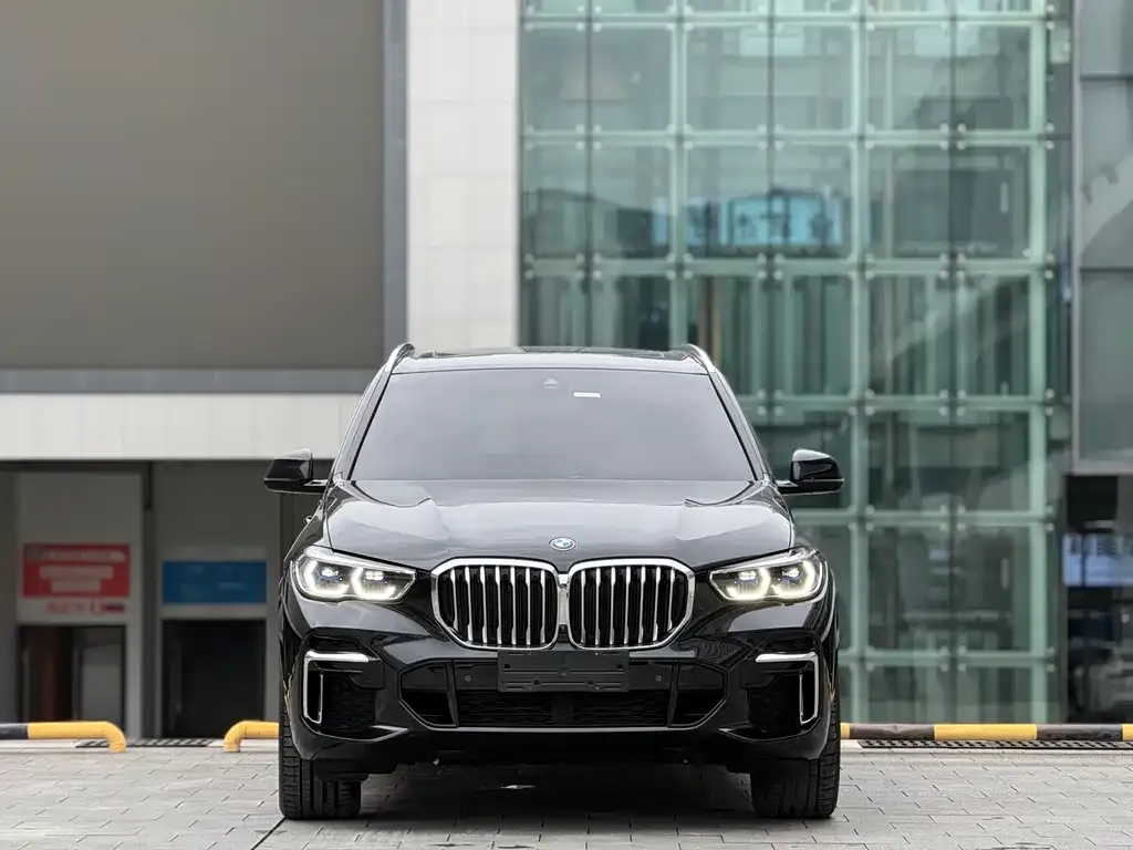 BMW X5 2023 из CN, фото 2