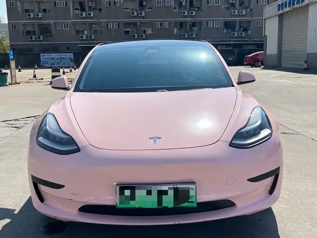 Tesla Model 3 2021 из CN, фото 2