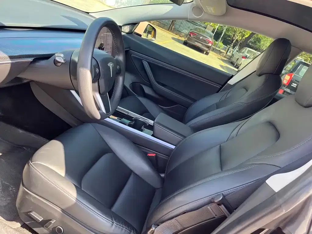 Tesla Model 3 2021 из CN, фото 4