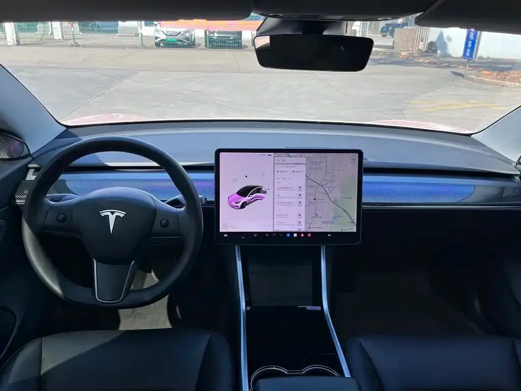 Tesla Model 3 2021 из CN, фото 5