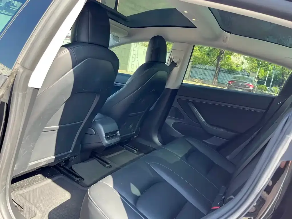 Tesla Model 3 2021 из CN, фото 6