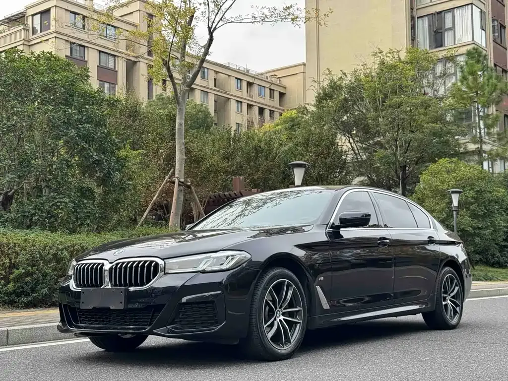 BMW 5 Series 2024 из CN, фото 1