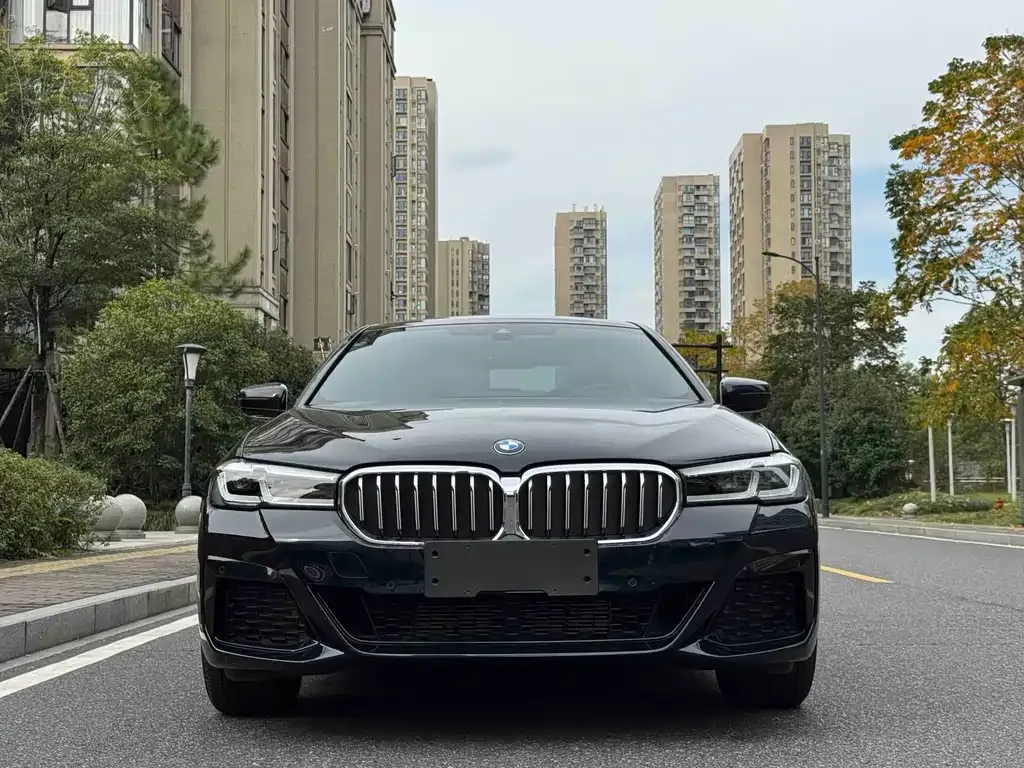 BMW 5 Series 2024 из CN, фото 2