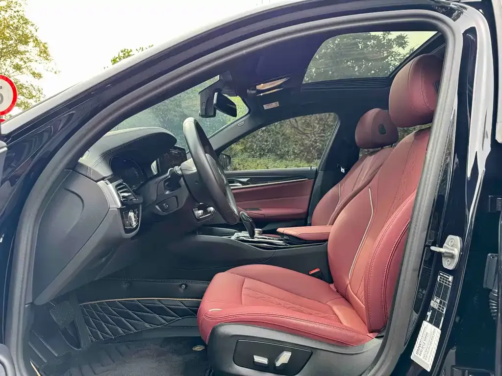 BMW 5 Series 2024 из CN, фото 4