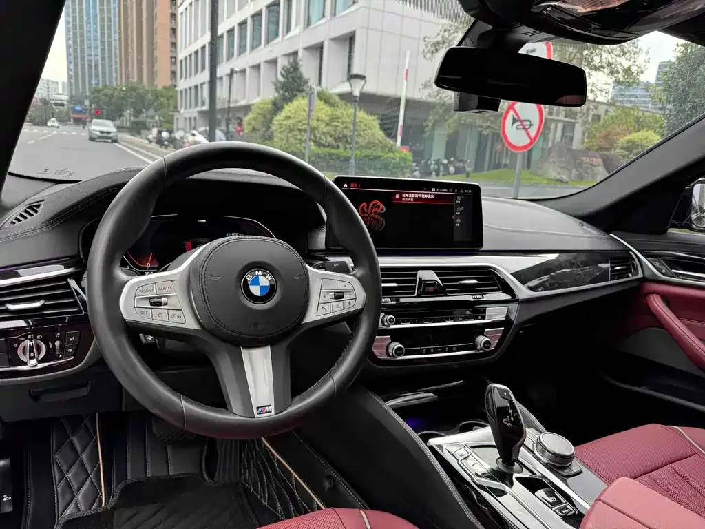 BMW 5 Series 2024 из CN, фото 5