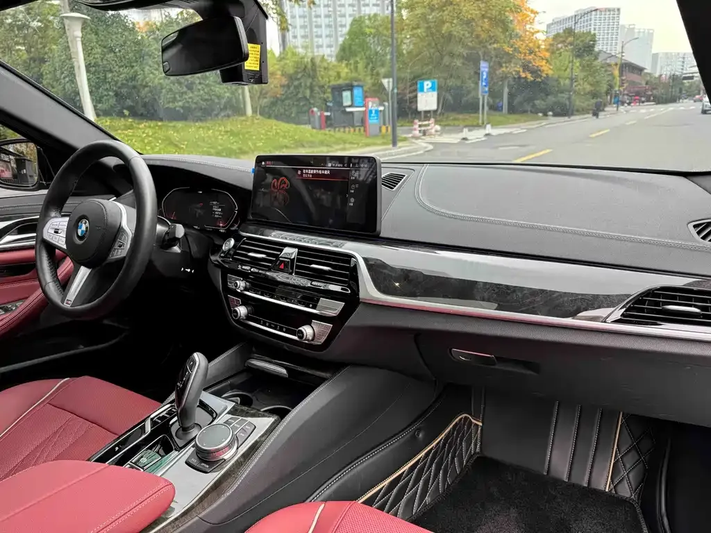 BMW 5 Series 2024 из CN, фото 9