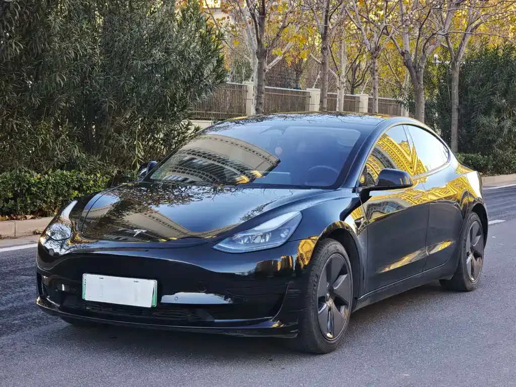 Tesla Model 3 2023 из CN, фото 1