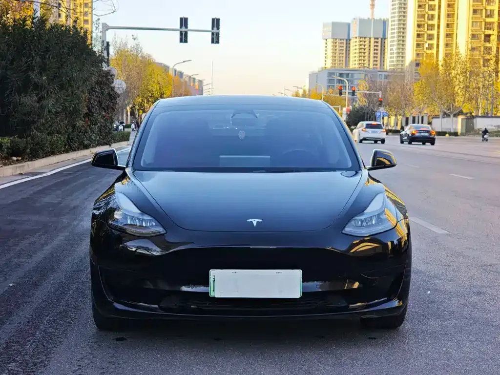 Tesla Model 3 2023 из CN, фото 2