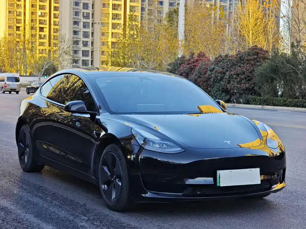 Tesla Model 3 2023 из CN, фото 3