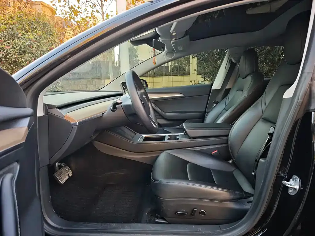 Tesla Model 3 2023 из CN, фото 4