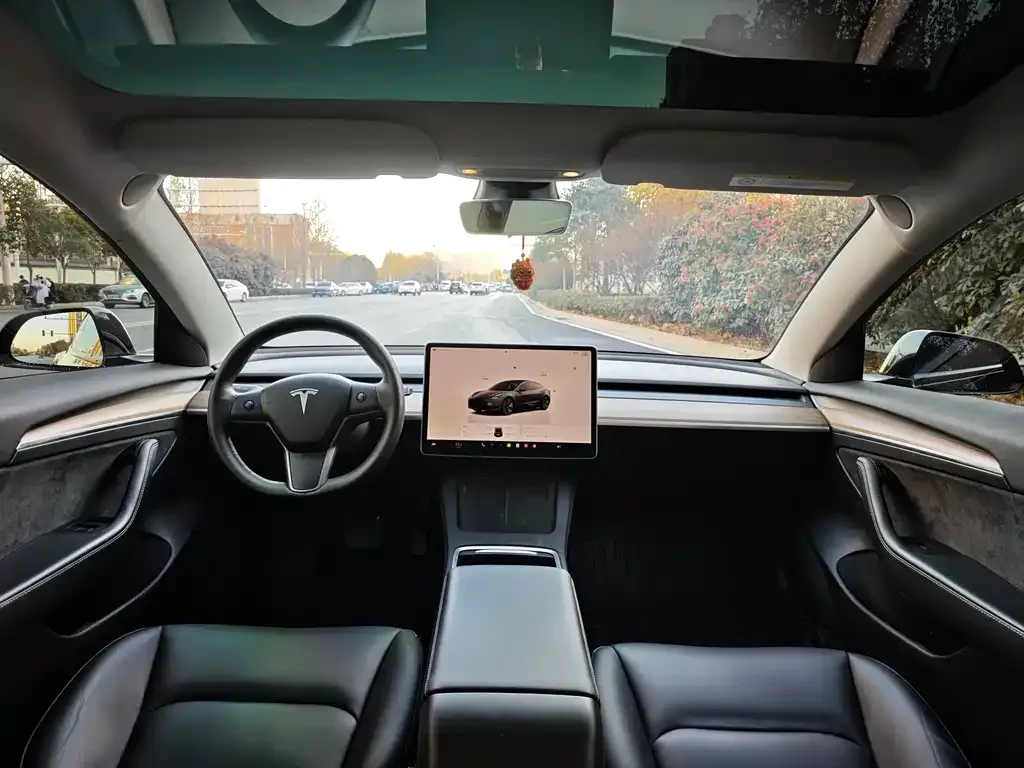 Tesla Model 3 2023 из CN, фото 6