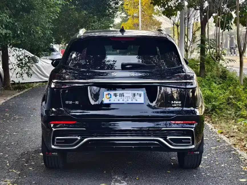Hongqi HS5 2024 из CN, фото 3