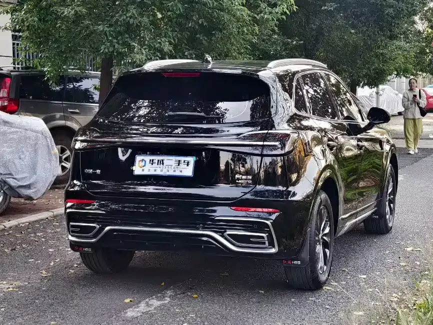 Hongqi HS5 2024 из CN, фото 4