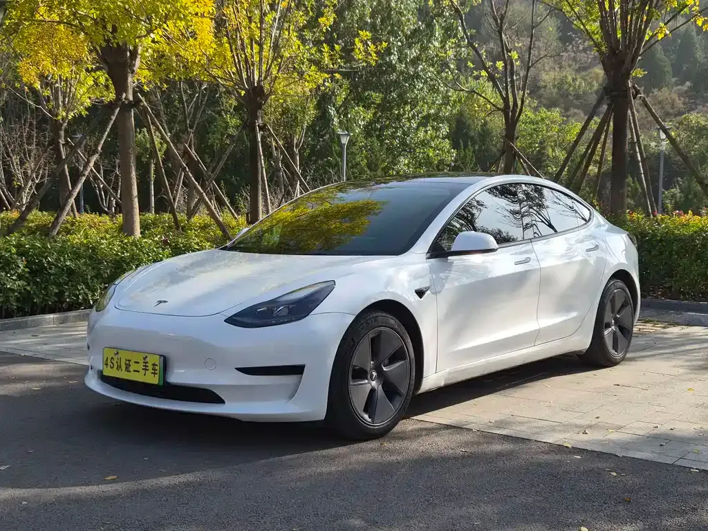 Tesla Model 3 2021 из CN, фото 1