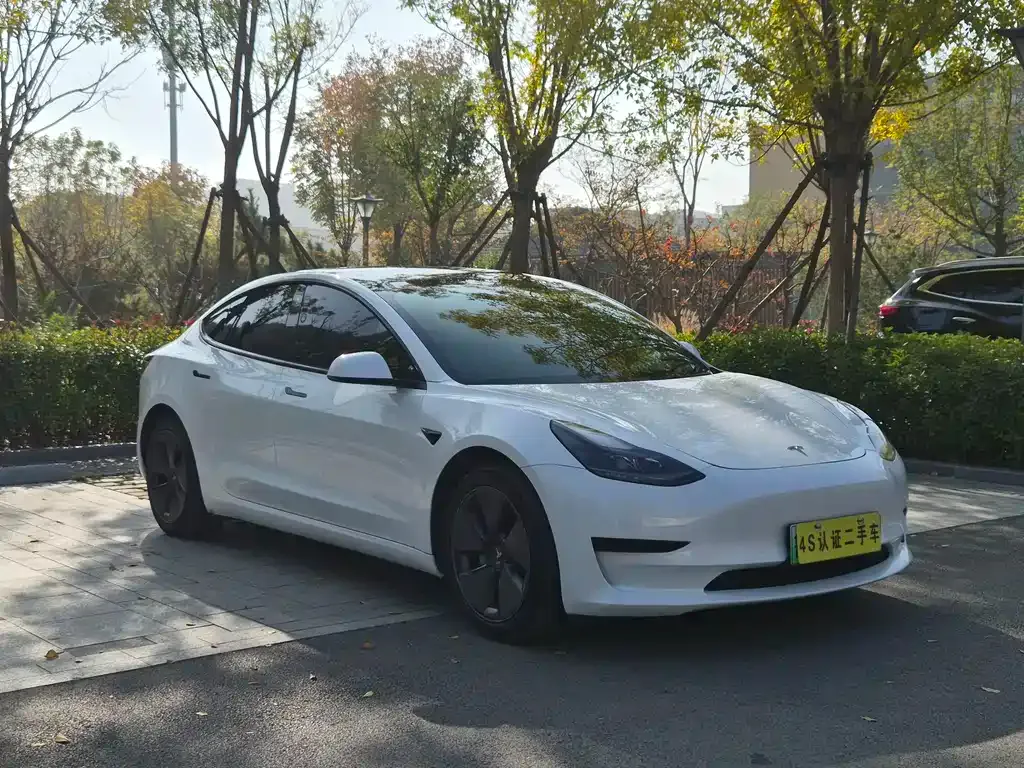 Tesla Model 3 2021 из CN, фото 2