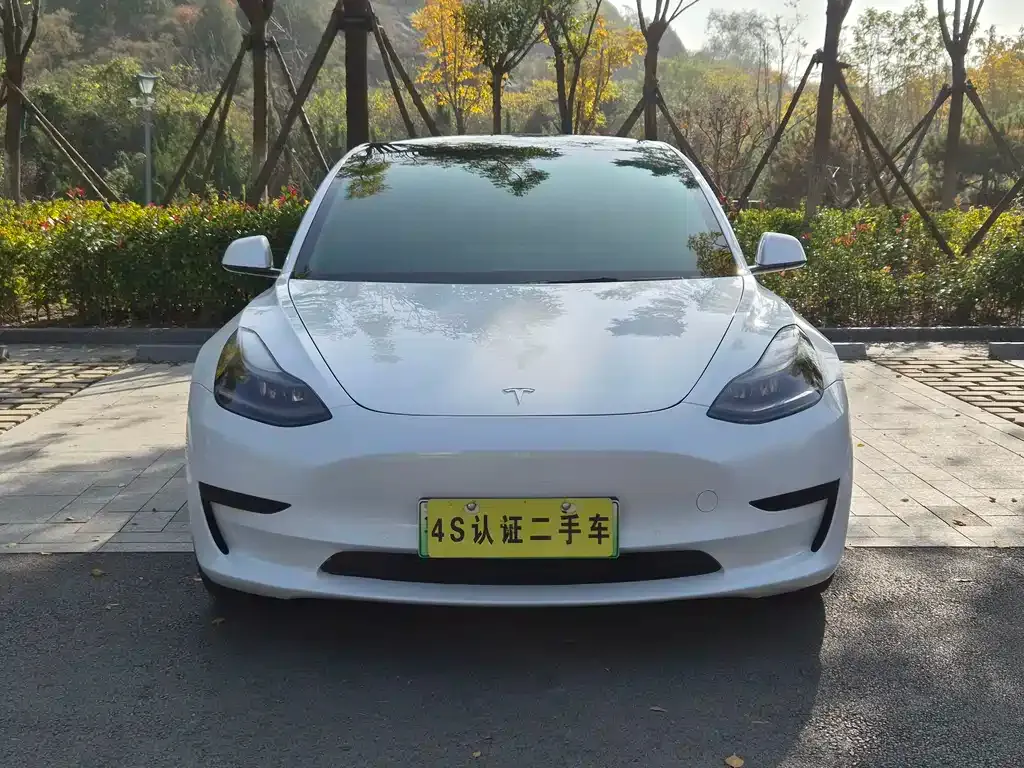 Tesla Model 3 2021 из CN, фото 3