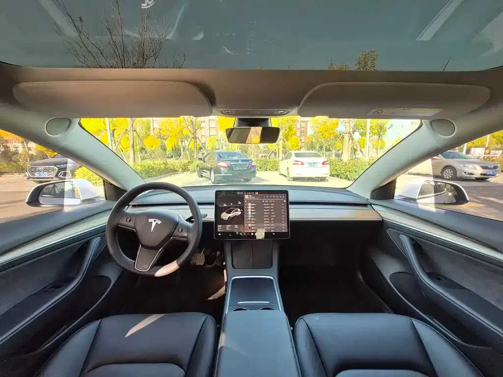 Tesla Model 3 2021 из CN, фото 5