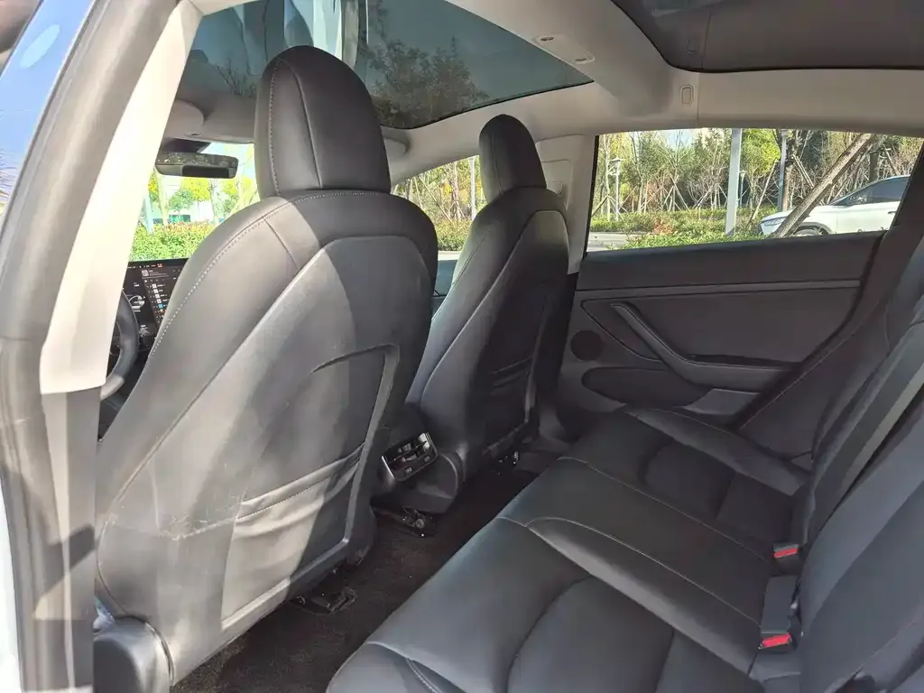Tesla Model 3 2021 из CN, фото 6