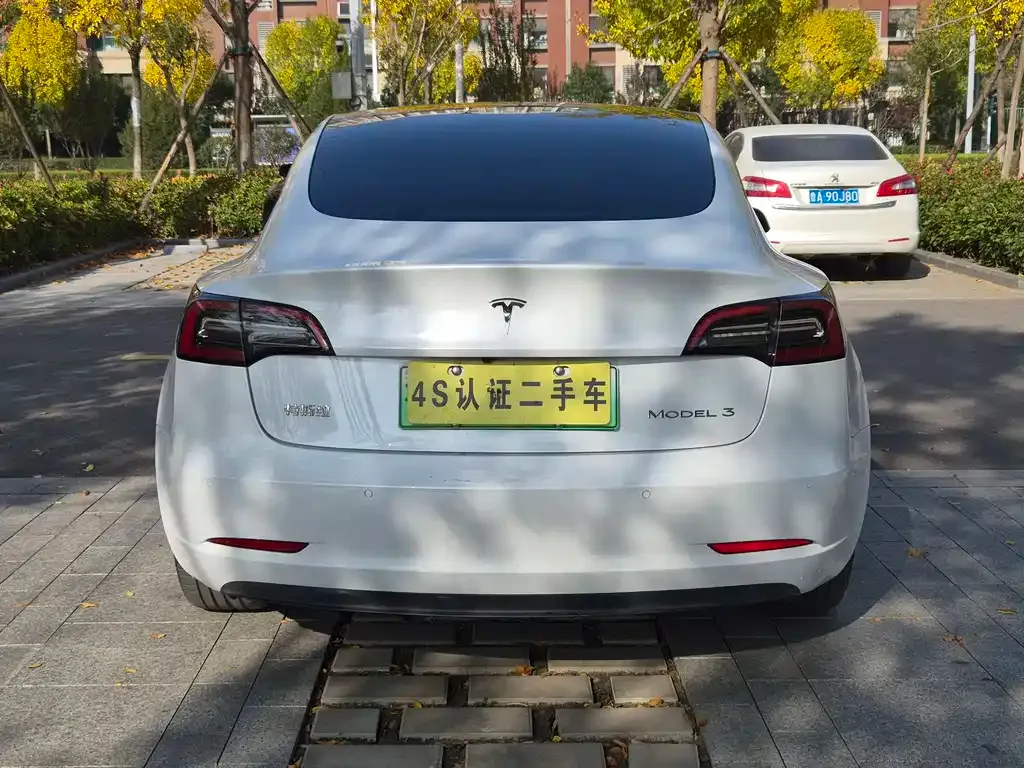 Tesla Model 3 2021 из CN, фото 7
