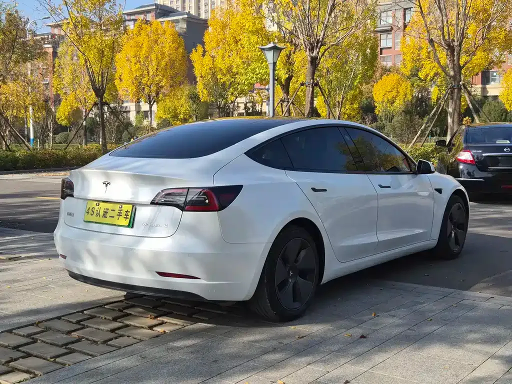 Tesla Model 3 2021 из CN, фото 8