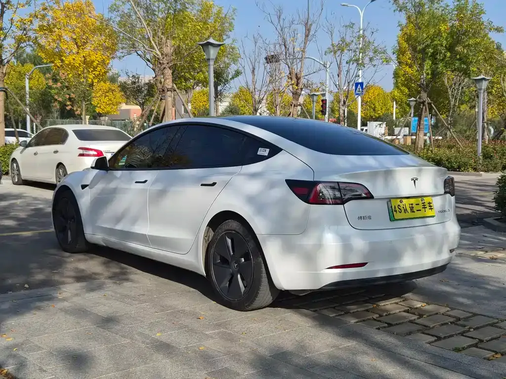 Tesla Model 3 2021 из CN, фото 9