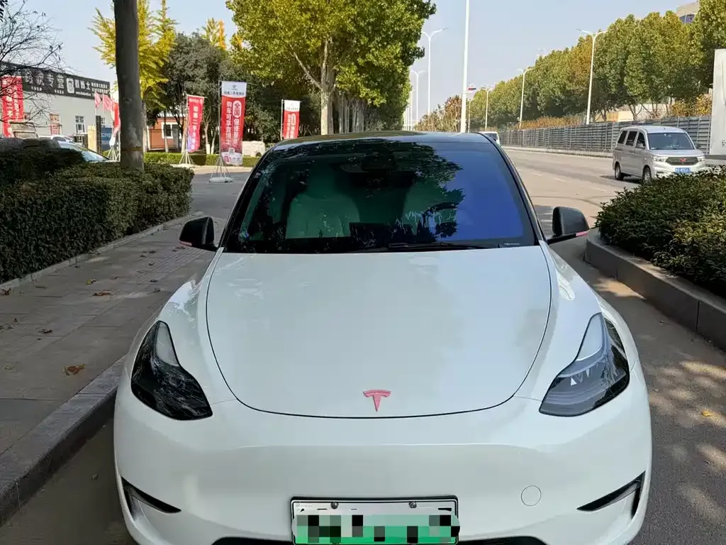 Tesla Model Y 2024 из CN, фото 1