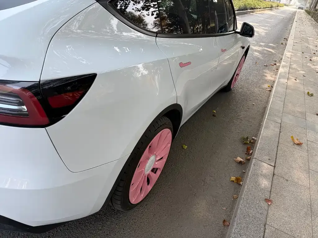 Tesla Model Y 2024 из CN, фото 10