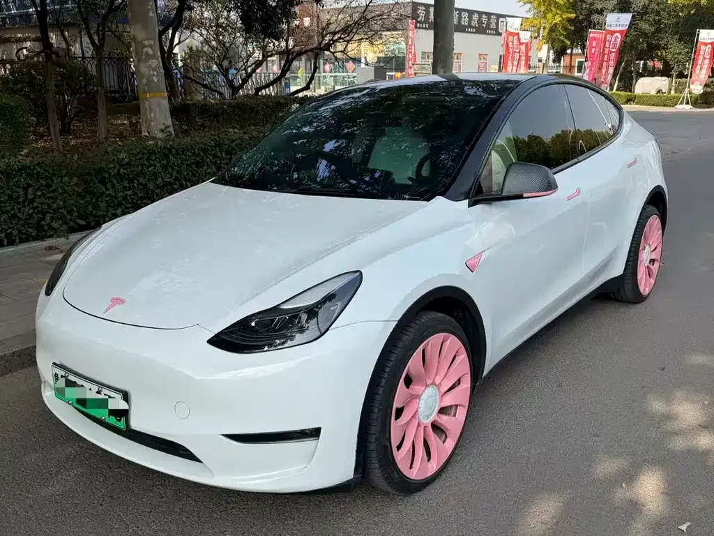 Tesla Model Y 2024 из CN, фото 2