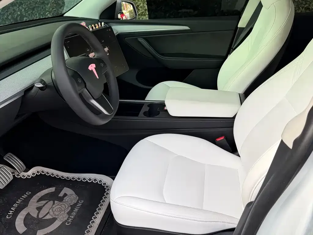Tesla Model Y 2024 из CN, фото 5