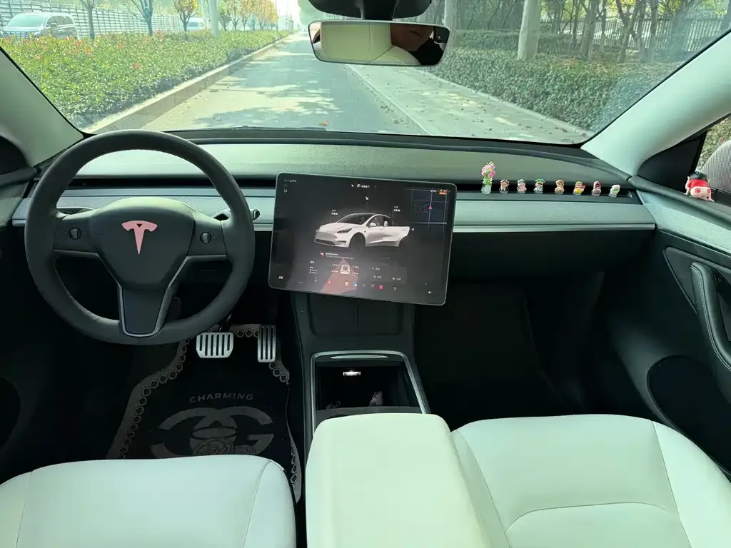 Tesla Model Y 2024 из CN, фото 9