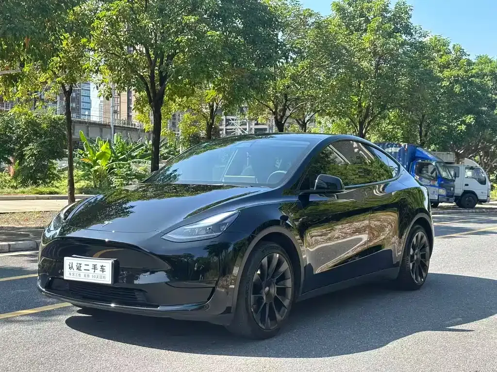 Tesla Model Y — фото 1