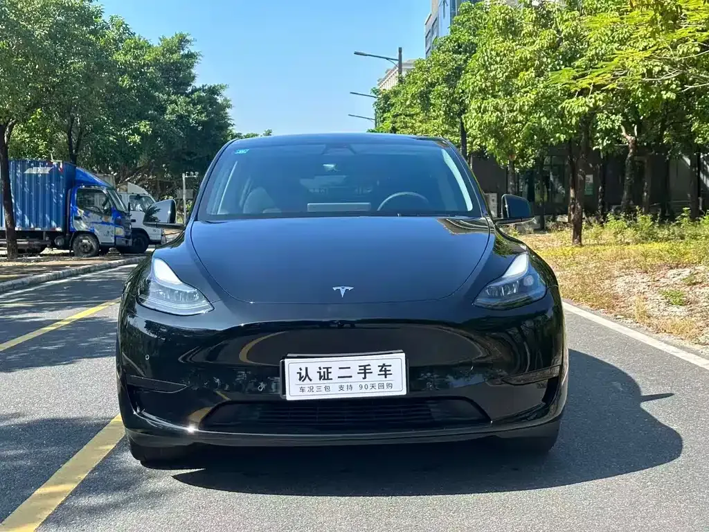 Tesla Model Y — фото 2