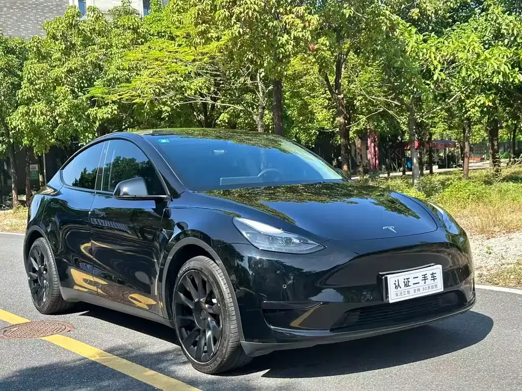 Tesla Model Y — фото 3