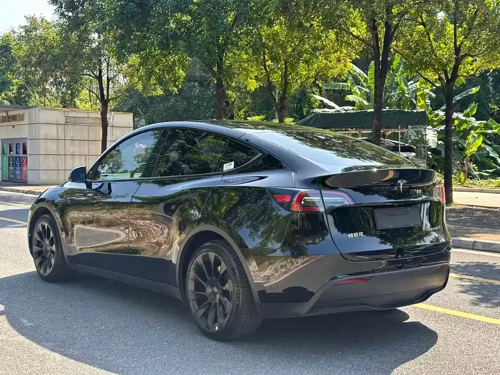 Tesla Model Y — фото 7