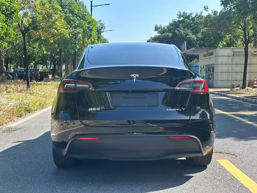 Tesla Model Y — фото 8