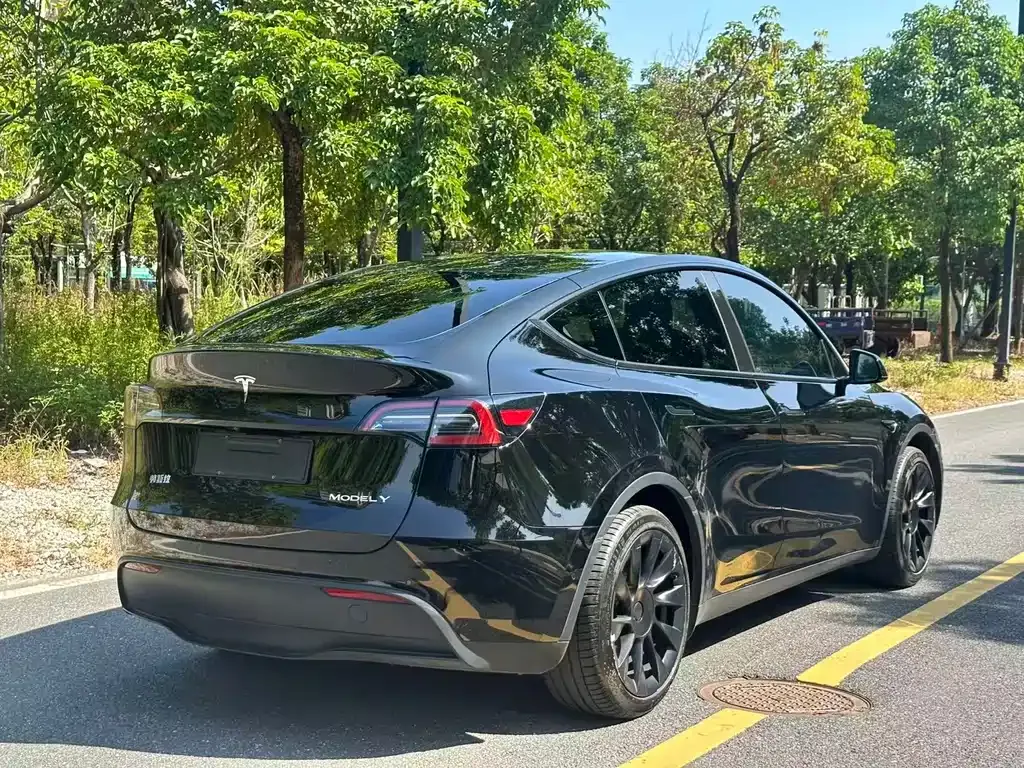 Tesla Model Y — фото 9