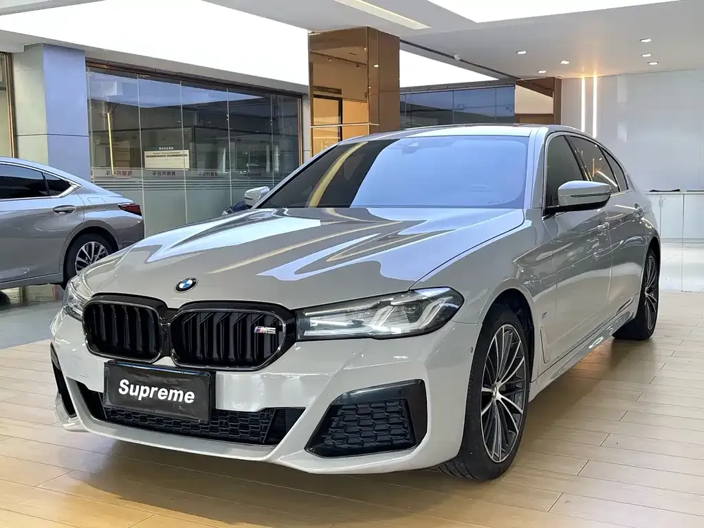 BMW 5 Series 2021 из CN, фото 1