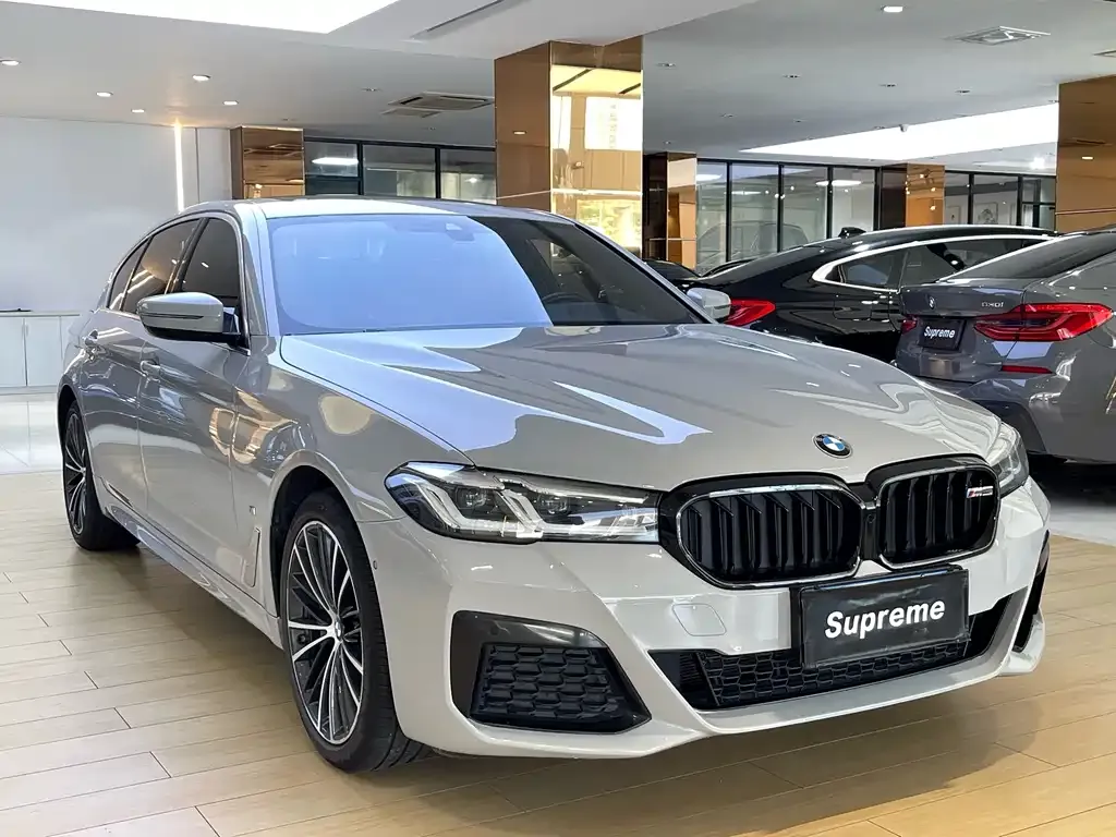 BMW 5 Series 2021 из CN, фото 3