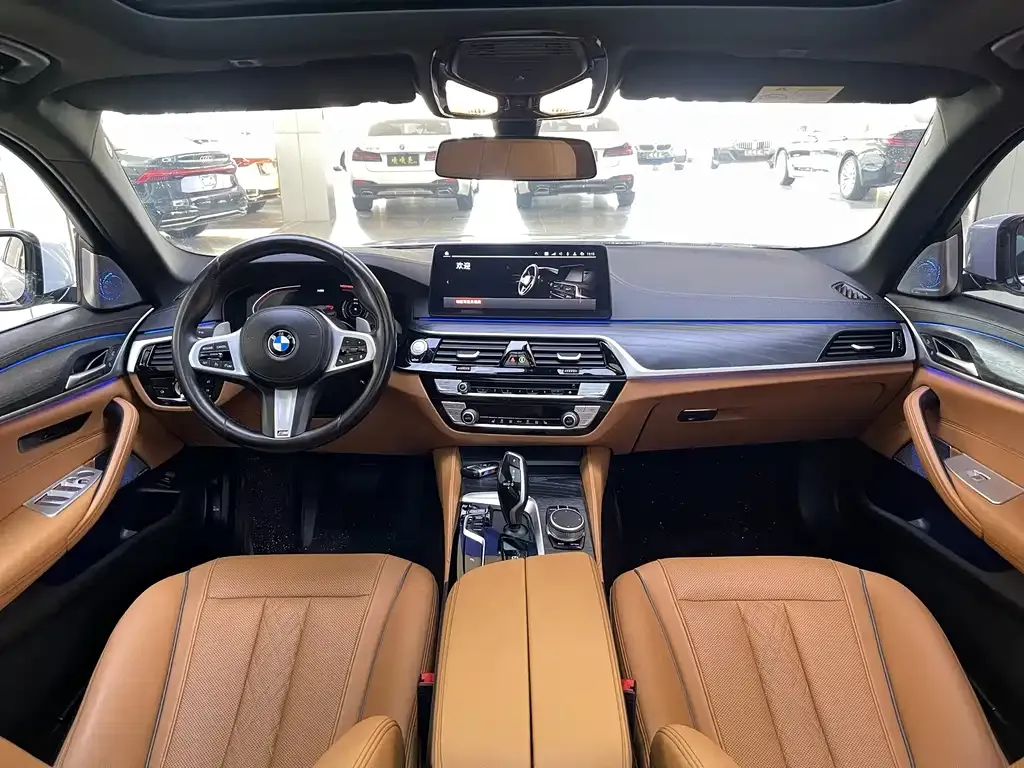 BMW 5 Series 2021 из CN, фото 7