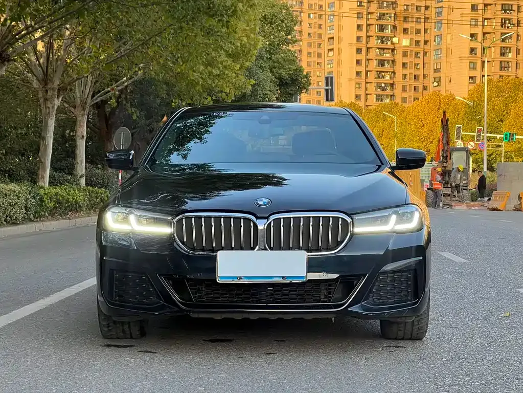 BMW 5 Series 2021 из CN, фото 1