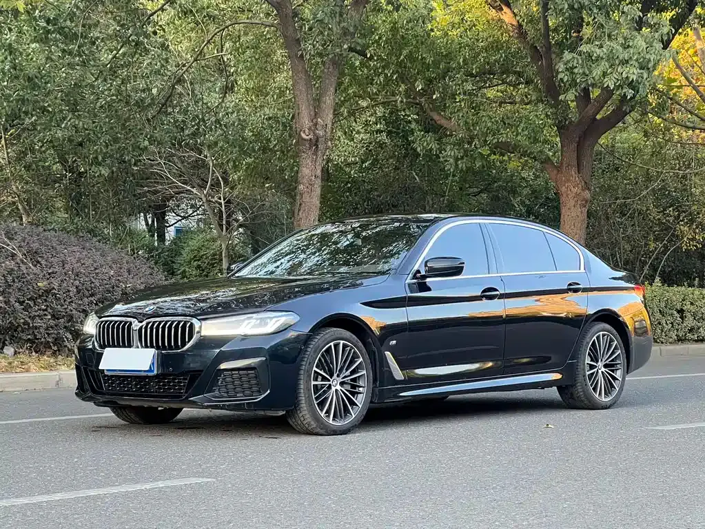 BMW 5 Series 2021 из CN, фото 2