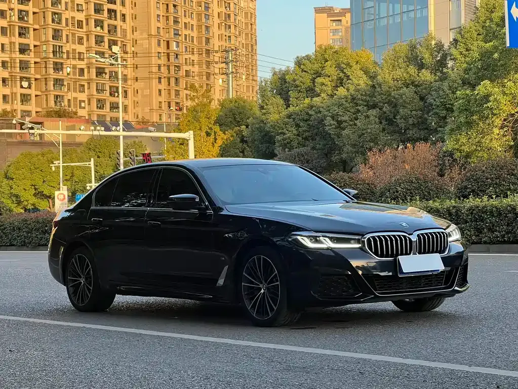 BMW 5 Series 2021 из CN, фото 3
