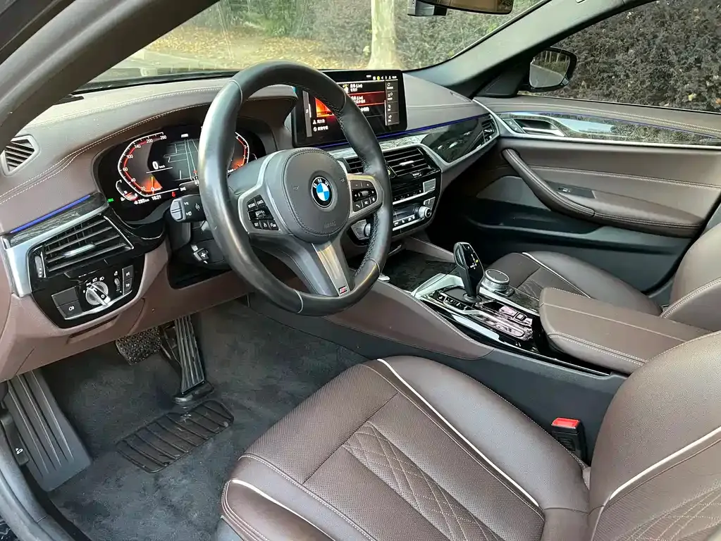 BMW 5 Series 2021 из CN, фото 4