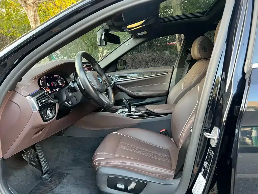 BMW 5 Series 2021 из CN, фото 5