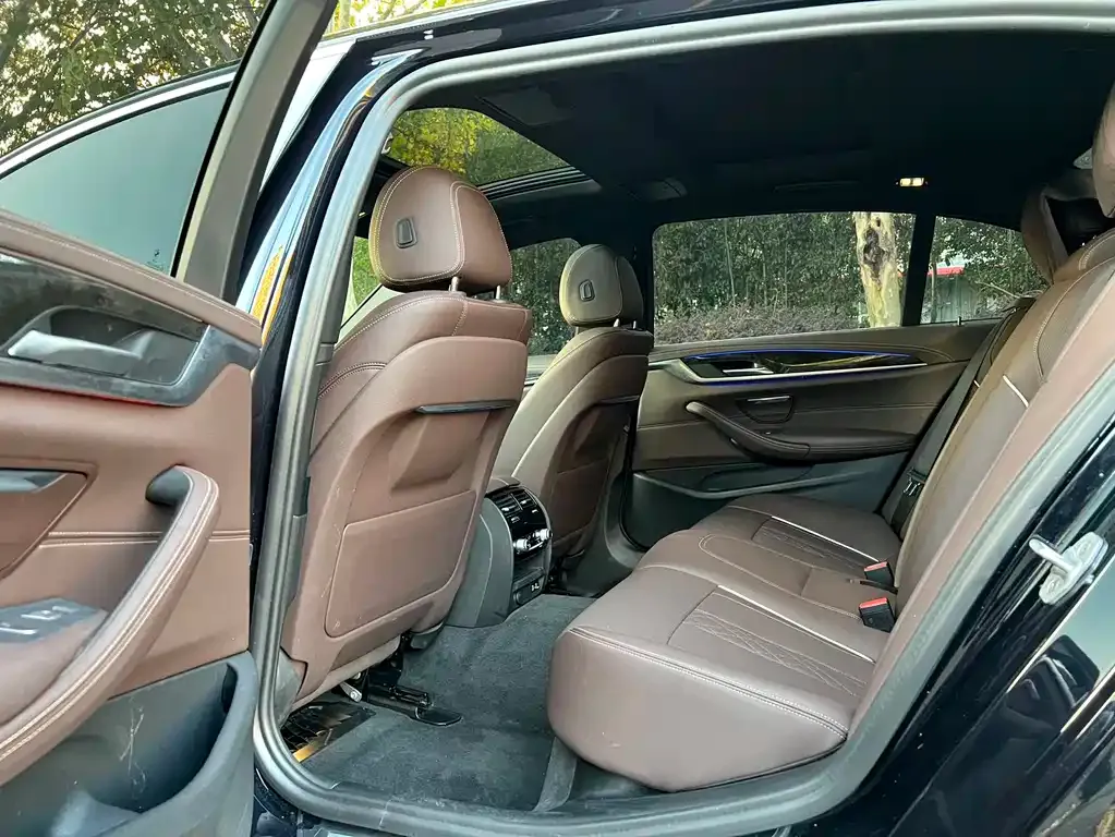 BMW 5 Series 2021 из CN, фото 7
