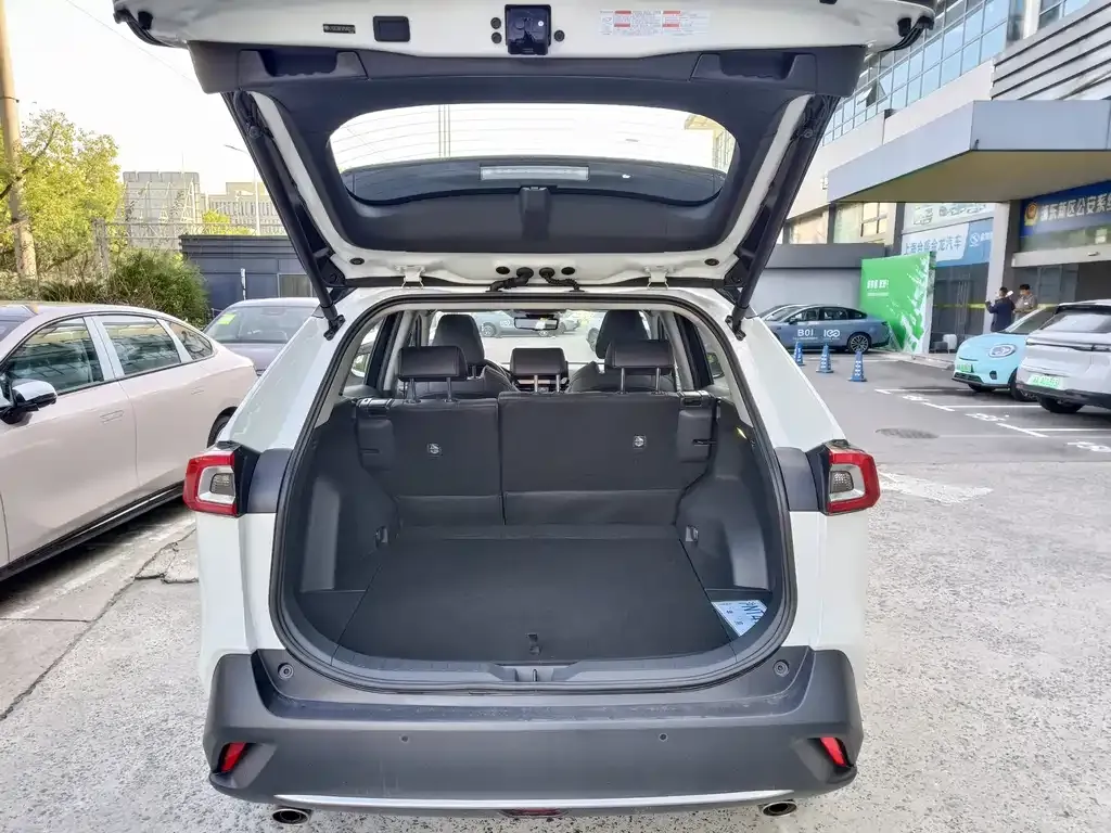 Toyota Wildlander 2023 из CN, фото 7