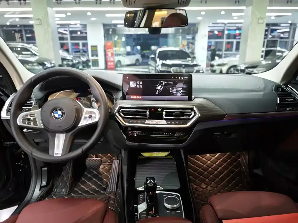 BMW X3 2025 из CN, фото 10