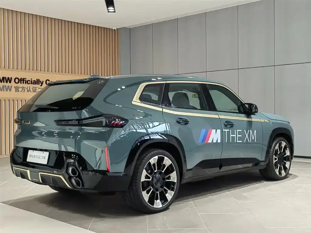BMW XM — фото 6
