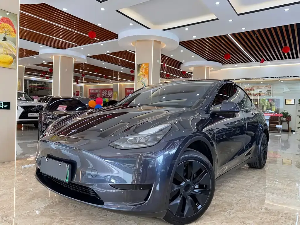 Tesla Model Y 2024 из CN, фото 1